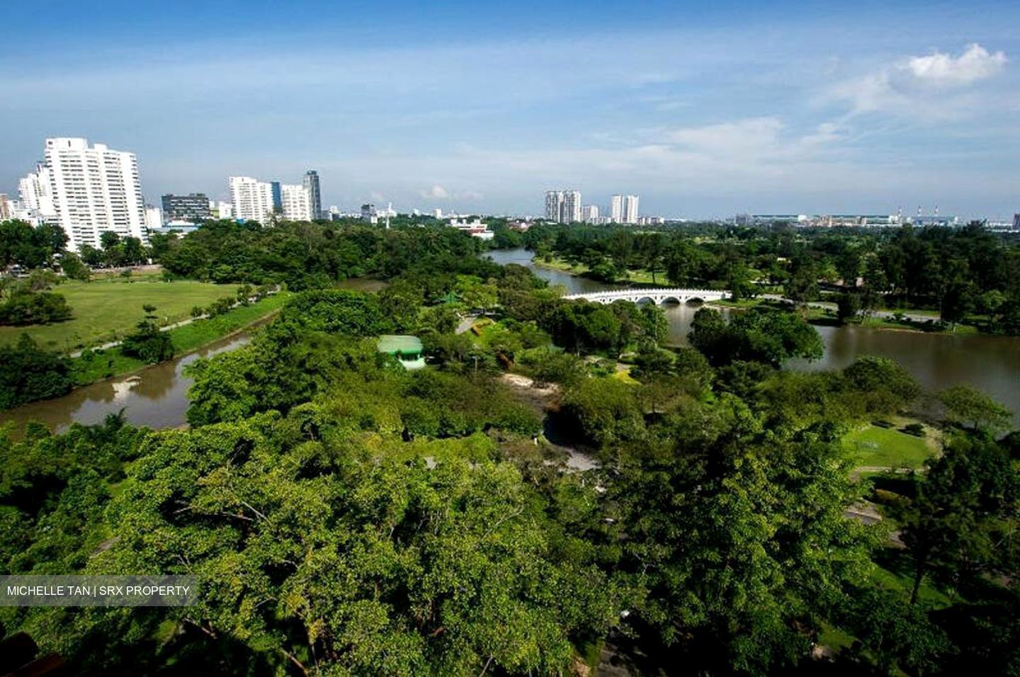 The LakeGarden Residences (D22), Condominium #466396691